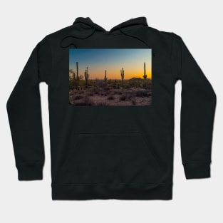 Wonderful Mood Hoodie